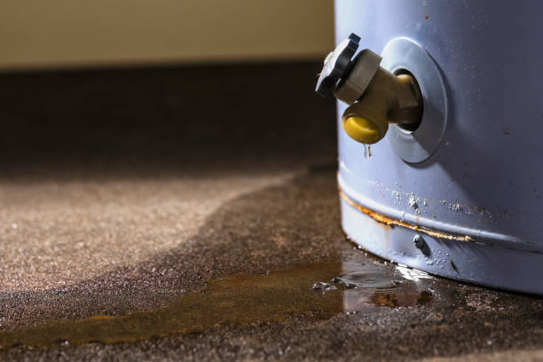 Best Water damage cleanup near me  in Union Point, GA