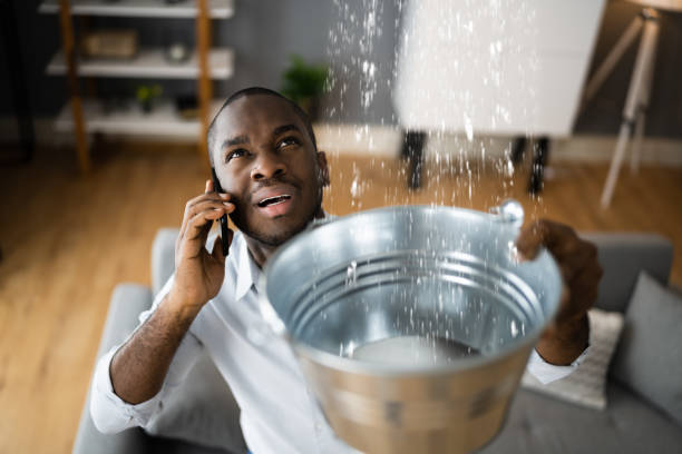 Best 24/7 water damage repair  in Union Point, GA