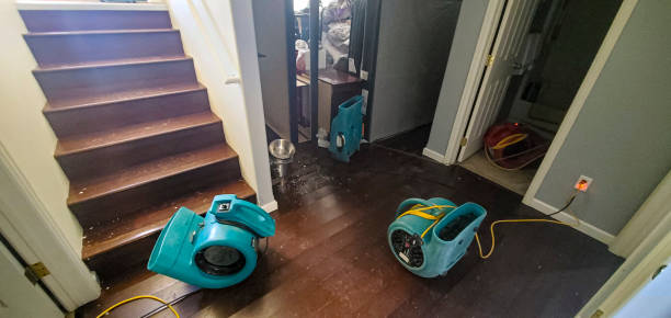 Best Basement water damage restoration  in Union Point, GA