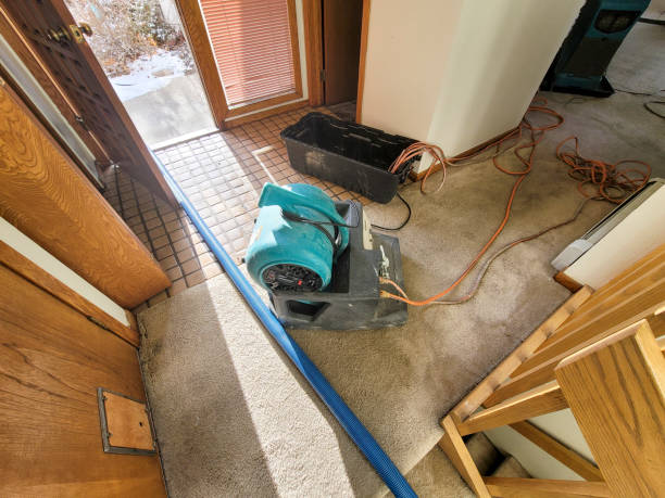 Best Water damage contractors near me  in Union Point, GA
