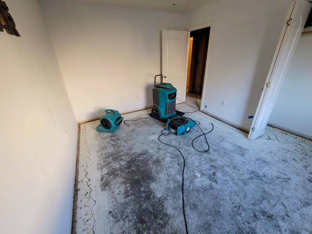 Best Carpet water damage restoration  in Union Point, GA