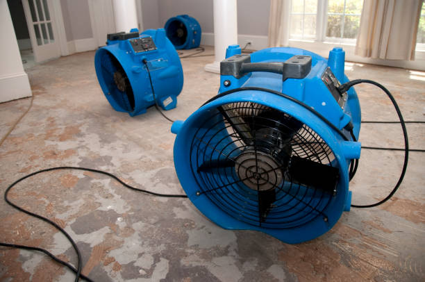 Best Mold removal after water damage  in Union Point, GA