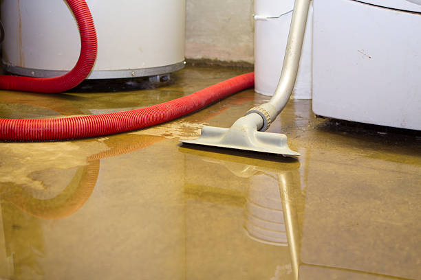 Best Sewage cleanup and water damage restoration  in Union Point, GA