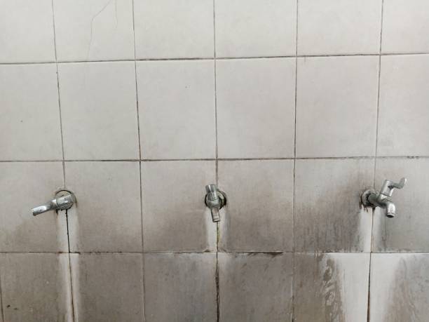 Best Local water damage restoration  in Union Point, GA