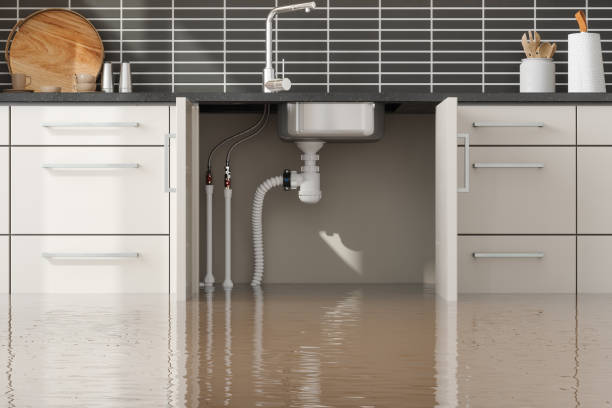 Best Commercial water damage restoration  in Union Point, GA