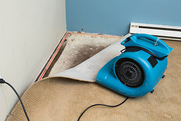 Best Fire Damage Restoration  in Union Point, GA
